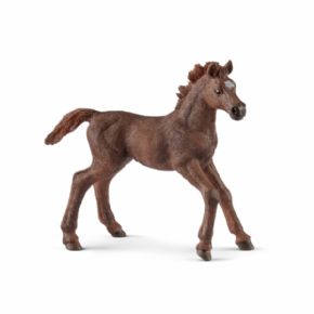 POTRO PURASANGRE INGLES (CABALLO)